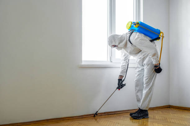 Best Pest Removal Services  in Tuckahoe, NY