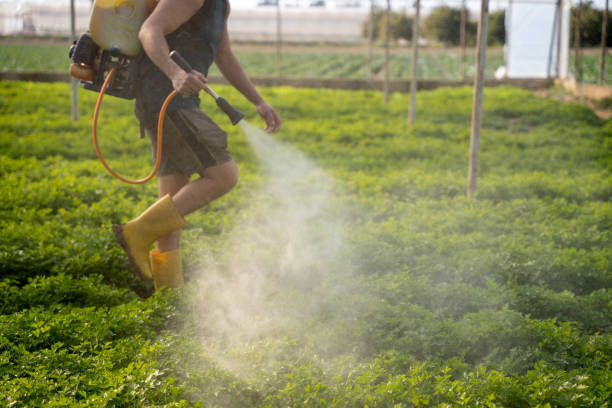 Best Pest Prevention Services  in Tuckahoe, NY