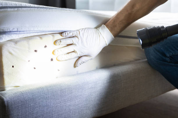 Best Wildlife Control Services  in Tuckahoe, NY