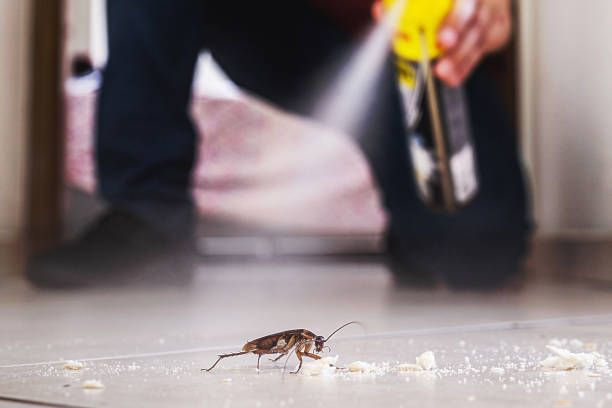 Best Best Pest Control Companies  in Tuckahoe, NY