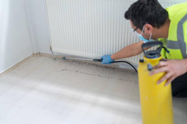Best Bed Bug Extermination  in Tuckahoe, NY