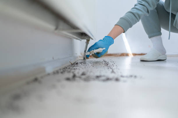 Best Wasp Removal Services  in Tuckahoe, NY