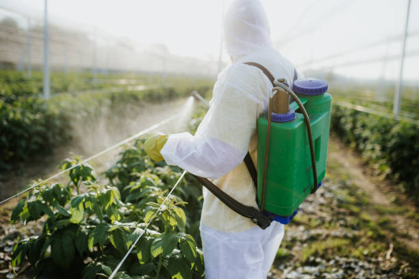 Best Residential Pest Control  in Tuckahoe, NY